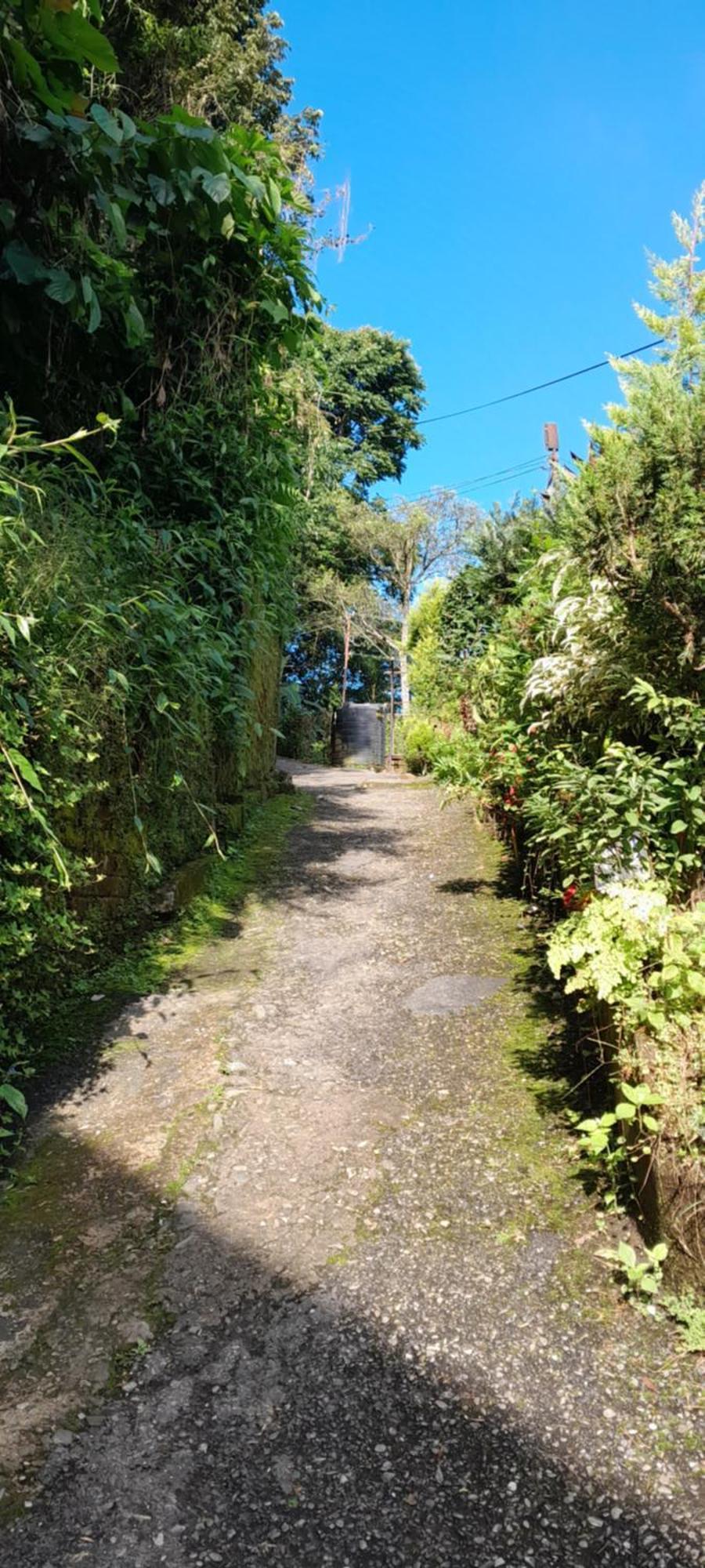 Seven Hills Homestay カリンポン 部屋 写真